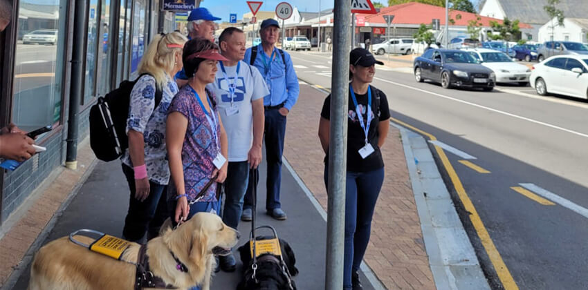 A group of people waiting at a bus stop. Three have guide dogs with them, and one is using a white cane.