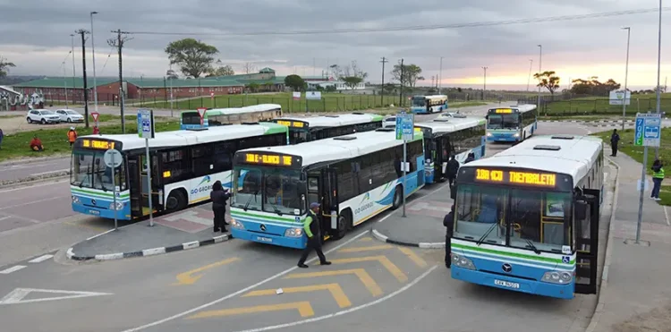 Eight GO GEORGE buses standing at a terminal.